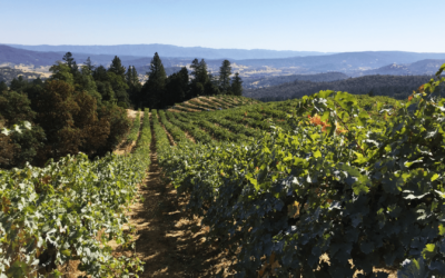 The Story Behind Cornerstone Cellars